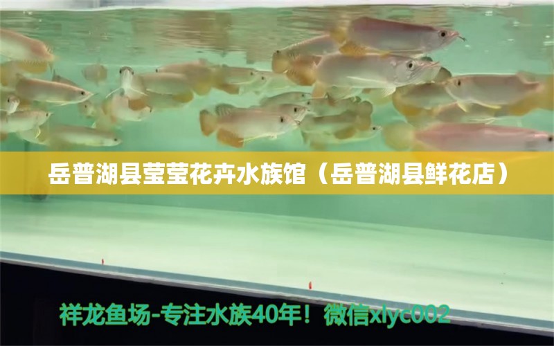 岳普湖縣瑩瑩花卉水族館（岳普湖縣鮮花店）