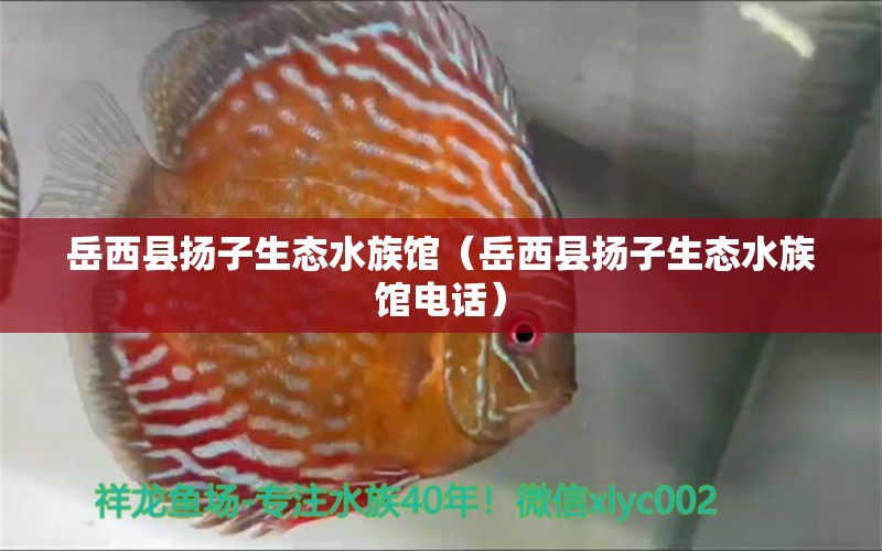 岳西縣揚子生態(tài)水族館（岳西縣揚子生態(tài)水族館電話）