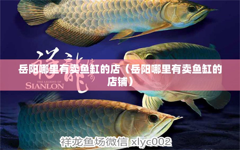 岳陽哪里有賣魚缸的店（岳陽哪里有賣魚缸的店鋪）