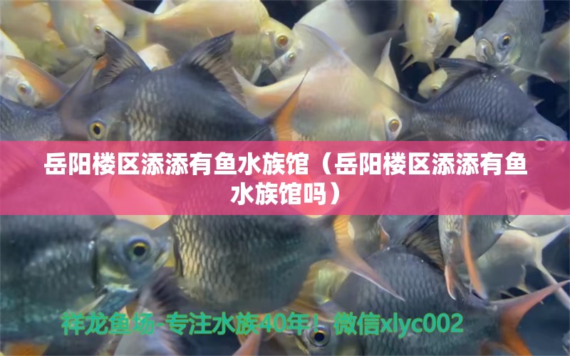 岳陽樓區(qū)添添有魚水族館（岳陽樓區(qū)添添有魚水族館嗎） 全國水族館企業(yè)名錄