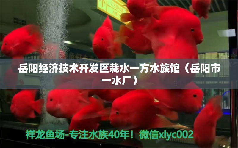 岳陽經(jīng)濟技術(shù)開發(fā)區(qū)栽水一方水族館（岳陽市一水廠） 一方水族