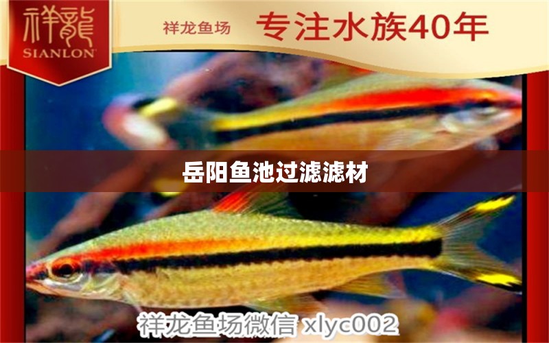 岳陽(yáng)魚(yú)池過(guò)濾濾材