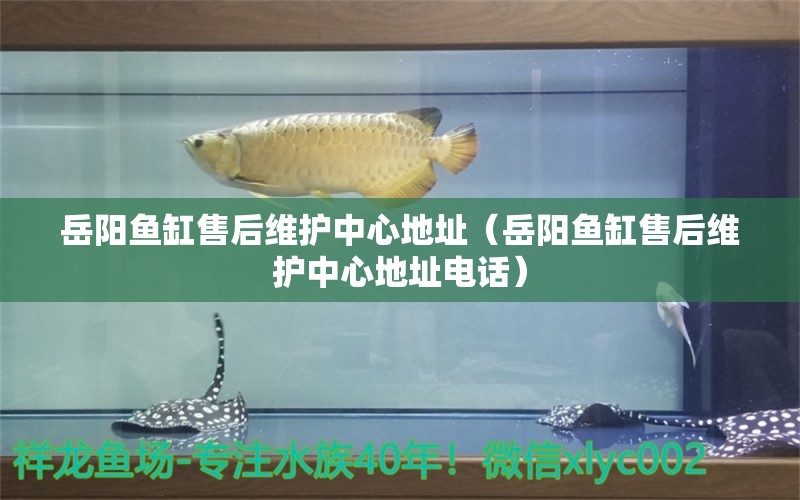 岳陽魚缸售后維護中心地址（岳陽魚缸售后維護中心地址電話）