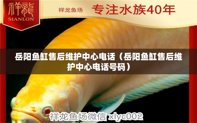 岳陽(yáng)魚缸售后維護(hù)中心電話（岳陽(yáng)魚缸售后維護(hù)中心電話號(hào)碼）