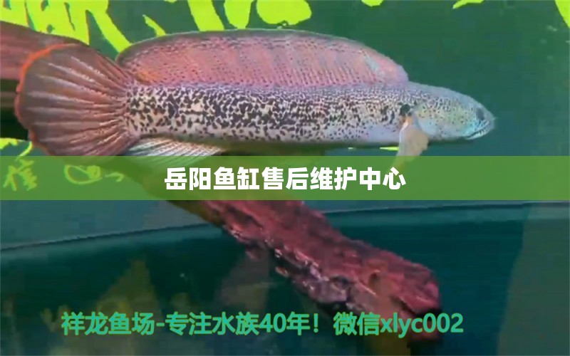 岳陽(yáng)魚(yú)缸售后維護(hù)中心