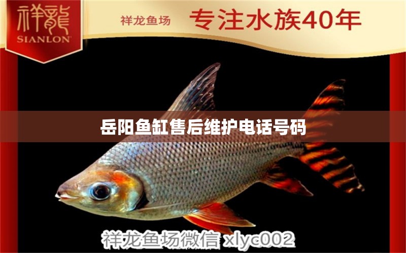 岳陽(yáng)魚缸售后維護(hù)電話號(hào)碼