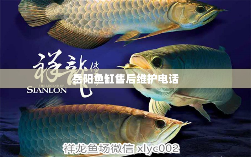 岳陽(yáng)魚缸售后維護(hù)電話