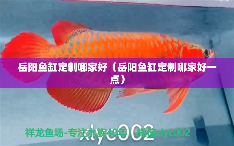 岳陽魚缸定制哪家好（岳陽魚缸定制哪家好一點(diǎn)）