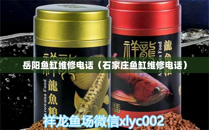 岳陽魚缸維修電話（石家莊魚缸維修電話）