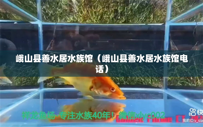 峨山縣善水居水族館（峨山縣善水居水族館電話） 全國(guó)水族館企業(yè)名錄