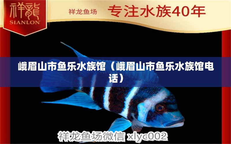 峨眉山市魚樂(lè)水族館（峨眉山市魚樂(lè)水族館電話）