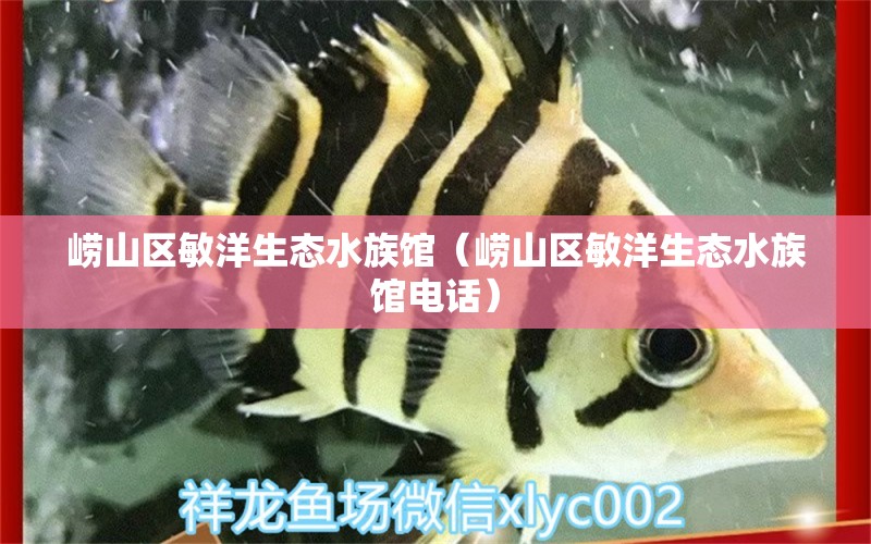 嶗山區(qū)敏洋生態(tài)水族館（嶗山區(qū)敏洋生態(tài)水族館電話）