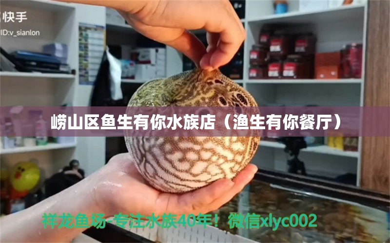 嶗山區(qū)魚生有你水族店（漁生有你餐廳） 全國水族館企業(yè)名錄