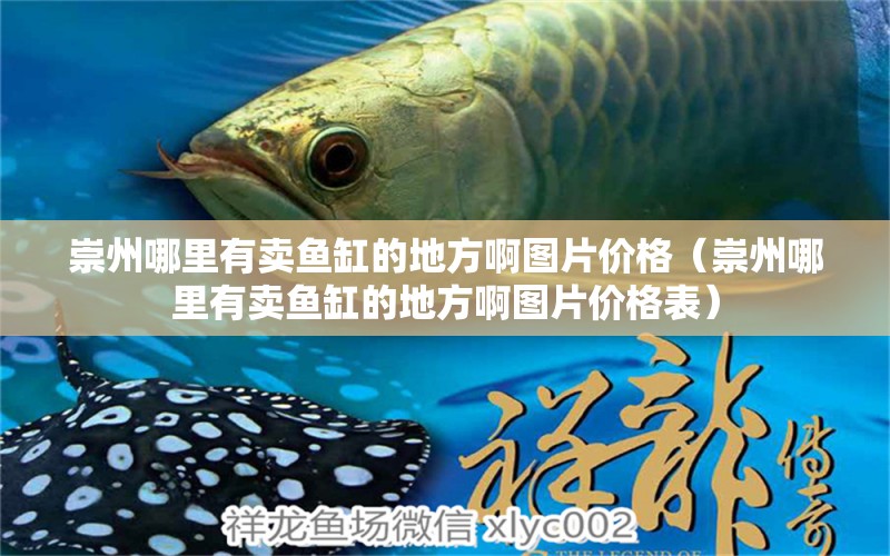 崇州哪里有賣魚缸的地方啊圖片價(jià)格（崇州哪里有賣魚缸的地方啊圖片價(jià)格表）