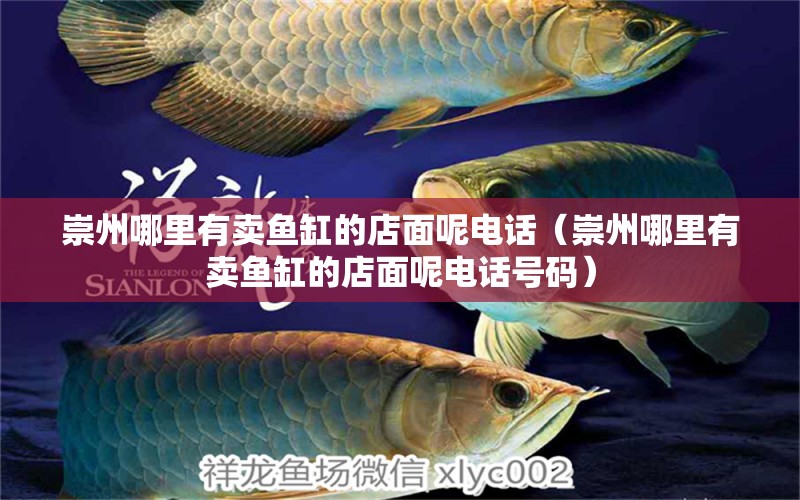 崇州哪里有賣魚缸的店面呢電話（崇州哪里有賣魚缸的店面呢電話號(hào)碼） 觀賞魚市場(chǎng)（混養(yǎng)魚）