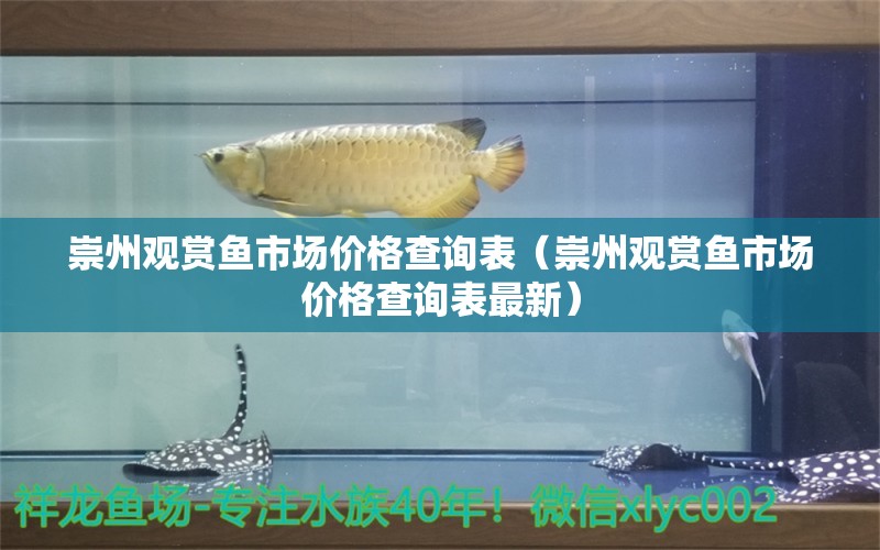 崇州觀賞魚(yú)市場(chǎng)價(jià)格查詢(xún)表（崇州觀賞魚(yú)市場(chǎng)價(jià)格查詢(xún)表最新）