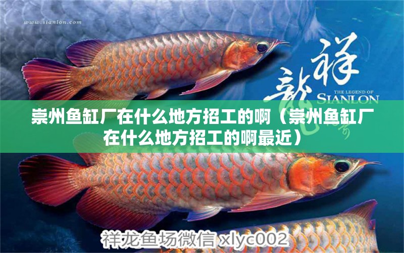 崇州魚缸廠在什么地方招工的啊（崇州魚缸廠在什么地方招工的啊最近）