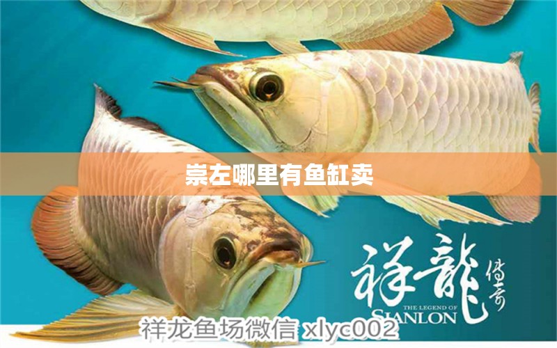 崇左哪里有魚(yú)缸賣(mài)