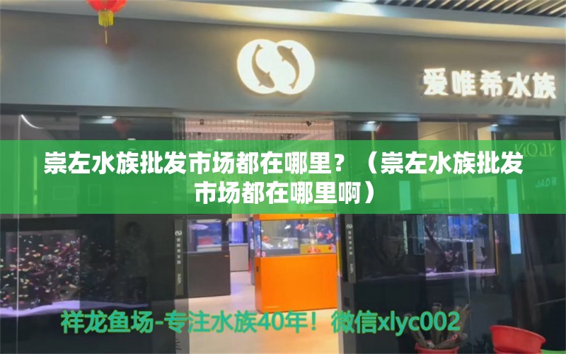 崇左水族批發(fā)市場都在哪里？（崇左水族批發(fā)市場都在哪里啊）