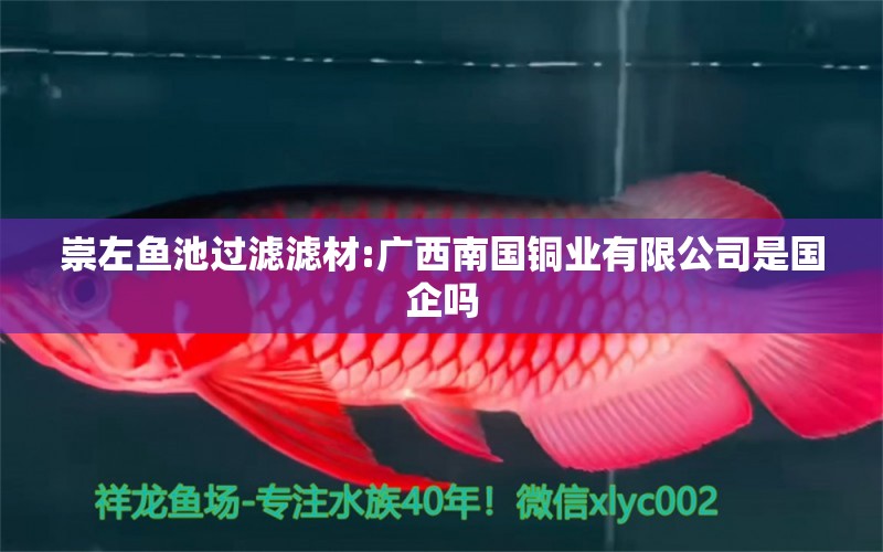 崇左魚池過濾濾材:廣西南國銅業(yè)有限公司是國企嗎 廣州水族器材濾材批發(fā)市場