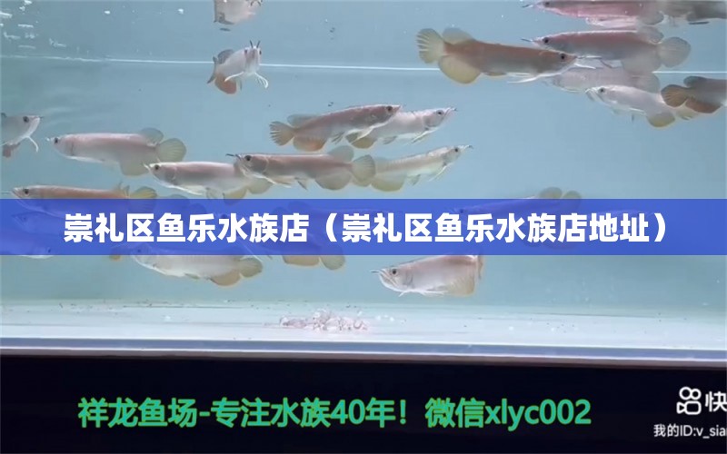 崇禮區(qū)魚樂水族店（崇禮區(qū)魚樂水族店地址） 全國水族館企業(yè)名錄