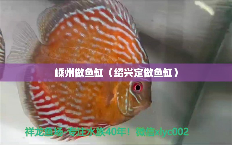 嵊州做魚缸（紹興定做魚缸） 觀賞魚市場（混養(yǎng)魚）