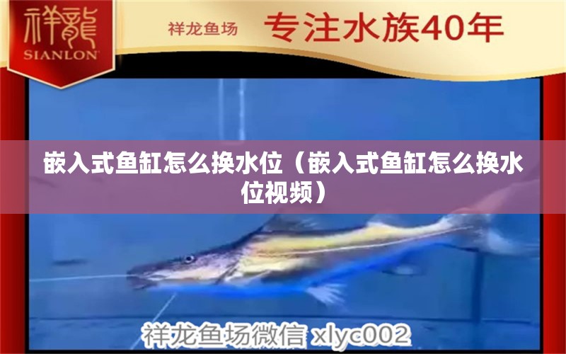 嵌入式魚缸怎么換水位（嵌入式魚缸怎么換水位視頻）