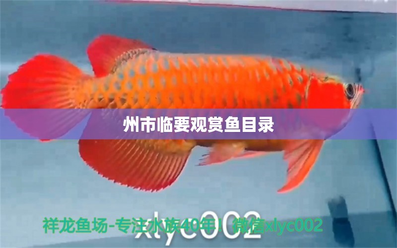 州市臨要觀賞魚目錄 養(yǎng)魚知識