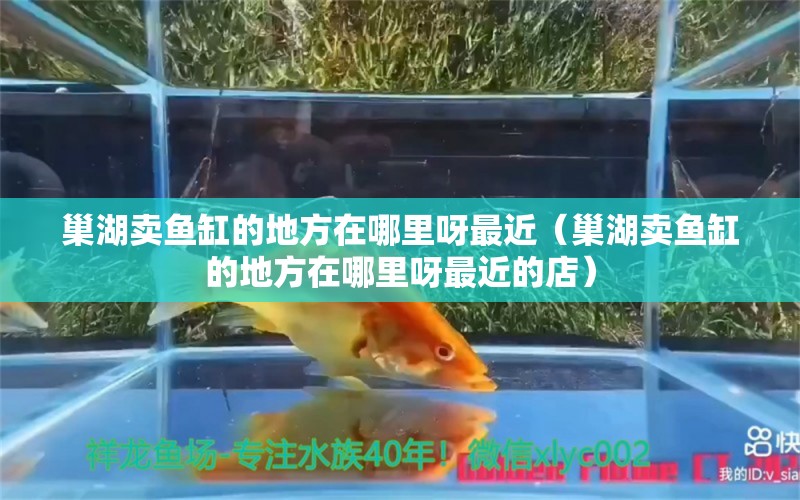 巢湖賣魚缸的地方在哪里呀最近（巢湖賣魚缸的地方在哪里呀最近的店） 其他品牌魚缸