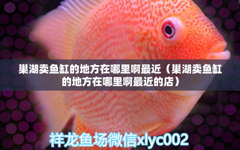 巢湖賣魚缸的地方在哪里啊最近（巢湖賣魚缸的地方在哪里啊最近的店） 其他品牌魚缸