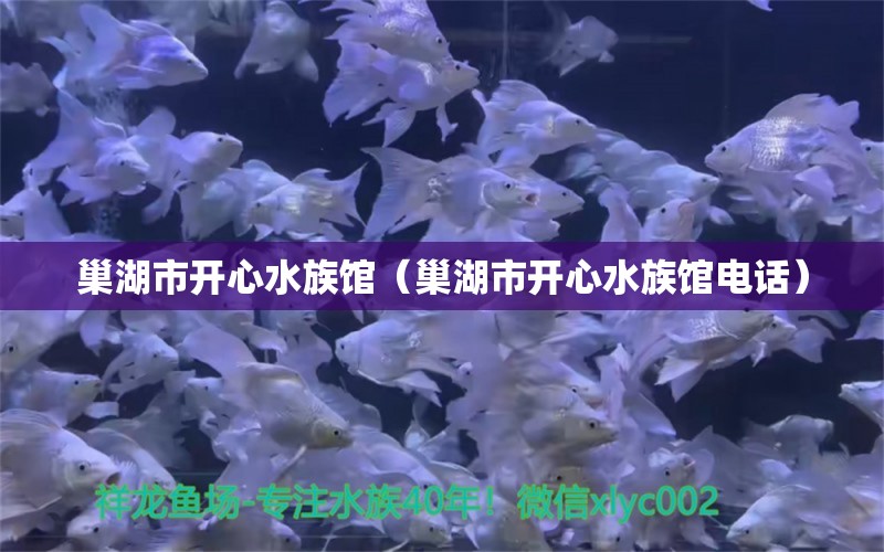 巢湖市開心水族館（巢湖市開心水族館電話）