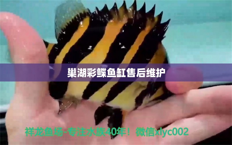 巢湖彩鰈魚缸售后維護 彩鰈魚缸（彩蝶魚缸）