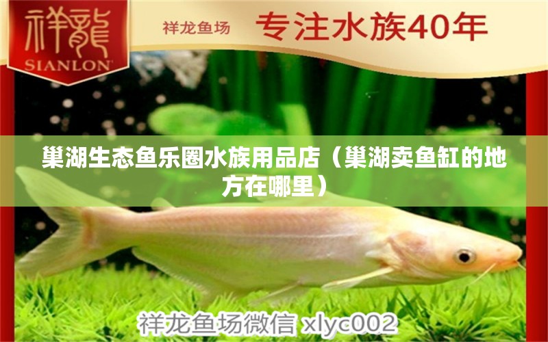 巢湖生態(tài)魚樂圈水族用品店（巢湖賣魚缸的地方在哪里） 水族用品