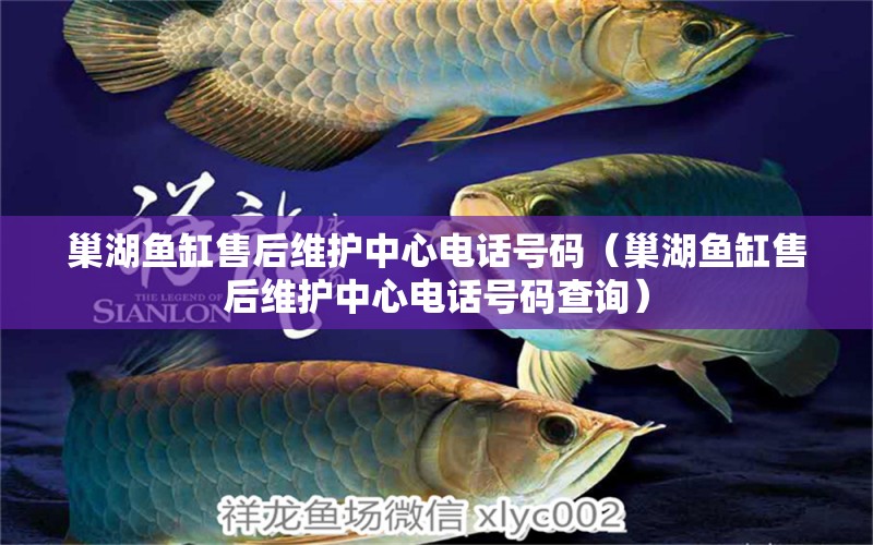 巢湖魚缸售后維護(hù)中心電話號碼（巢湖魚缸售后維護(hù)中心電話號碼查詢） 其他品牌魚缸