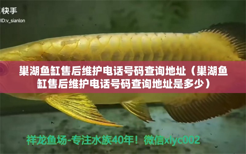 巢湖魚(yú)缸售后維護(hù)電話號(hào)碼查詢(xún)地址（巢湖魚(yú)缸售后維護(hù)電話號(hào)碼查詢(xún)地址是多少） 其他品牌魚(yú)缸