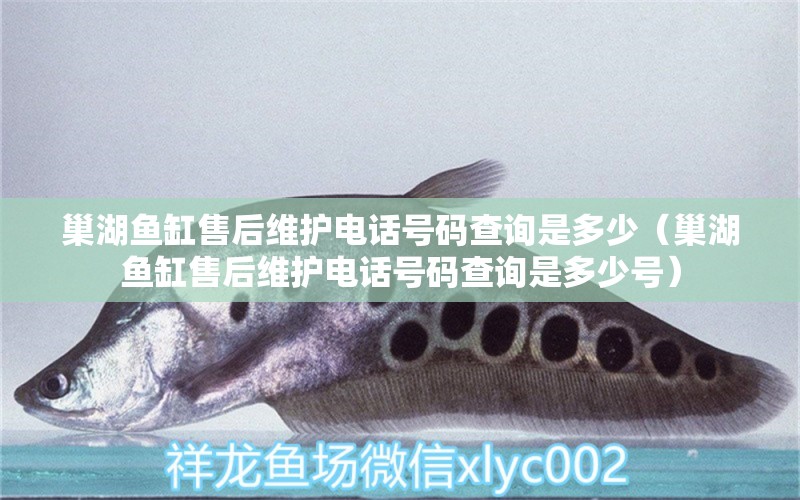 巢湖魚缸售后維護(hù)電話號(hào)碼查詢是多少（巢湖魚缸售后維護(hù)電話號(hào)碼查詢是多少號(hào)） 其他品牌魚缸