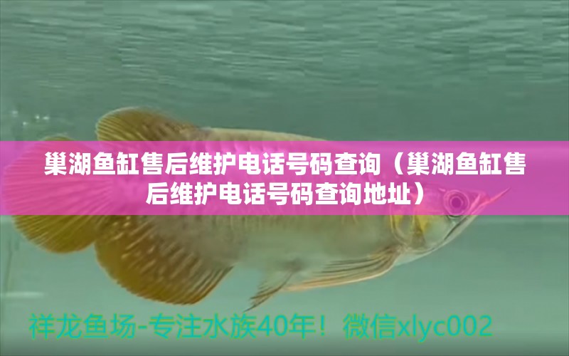 巢湖魚缸售后維護(hù)電話號(hào)碼查詢（巢湖魚缸售后維護(hù)電話號(hào)碼查詢地址） 其他品牌魚缸