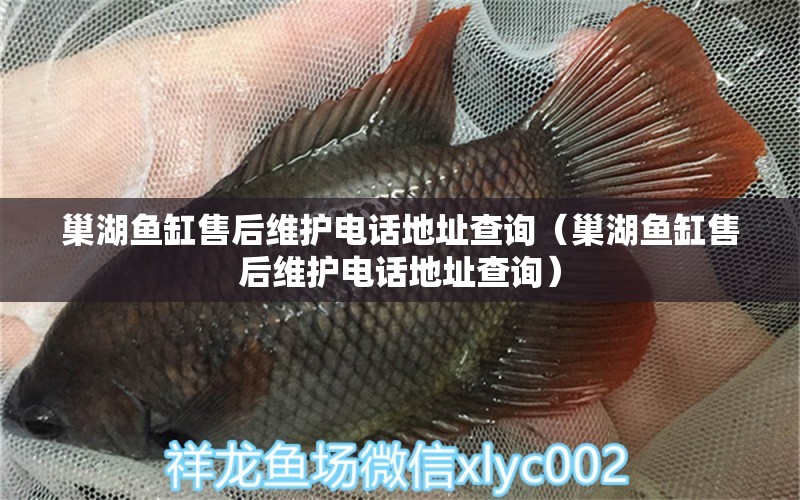 巢湖魚缸售后維護(hù)電話地址查詢（巢湖魚缸售后維護(hù)電話地址查詢） 其他品牌魚缸