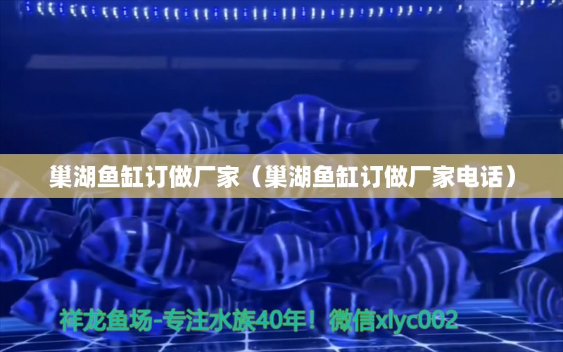 巢湖魚缸訂做廠家（巢湖魚缸訂做廠家電話） 廣州龍魚批發(fā)市場