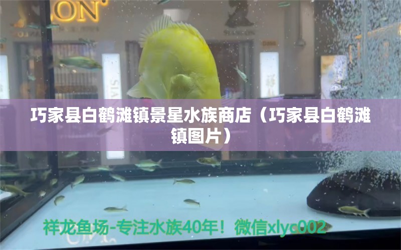 巧家縣白鶴灘鎮(zhèn)景星水族商店（巧家縣白鶴灘鎮(zhèn)圖片）