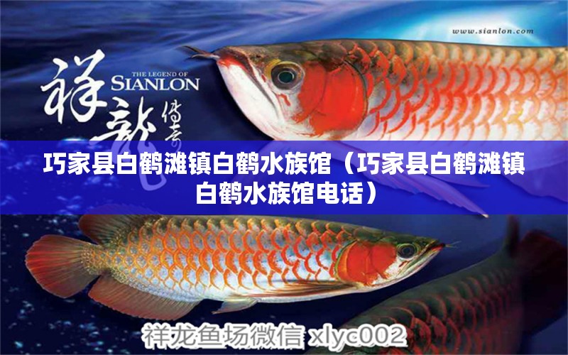 巧家縣白鶴灘鎮(zhèn)白鶴水族館（巧家縣白鶴灘鎮(zhèn)白鶴水族館電話(huà)）