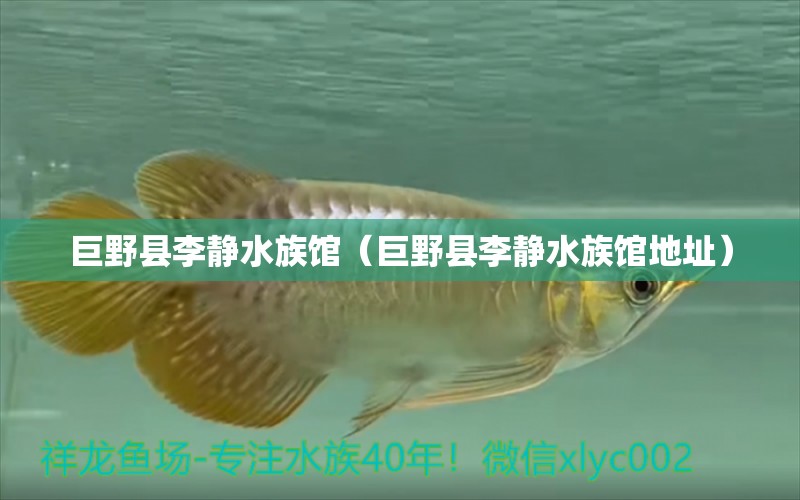 巨野縣李靜水族館（巨野縣李靜水族館地址） 全國(guó)水族館企業(yè)名錄