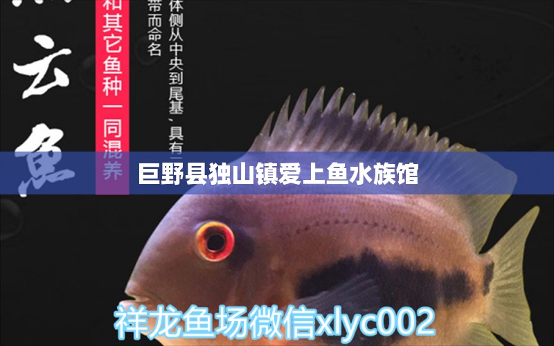 巨野縣獨山鎮(zhèn)愛上魚水族館