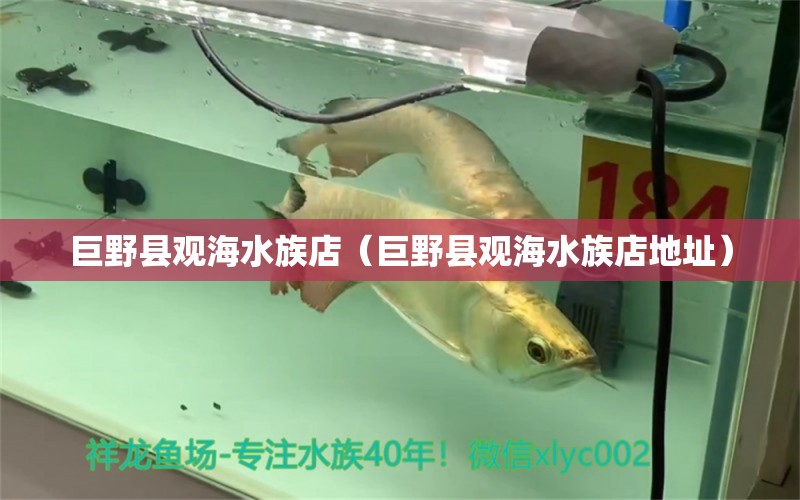 巨野縣觀海水族店（巨野縣觀海水族店地址）