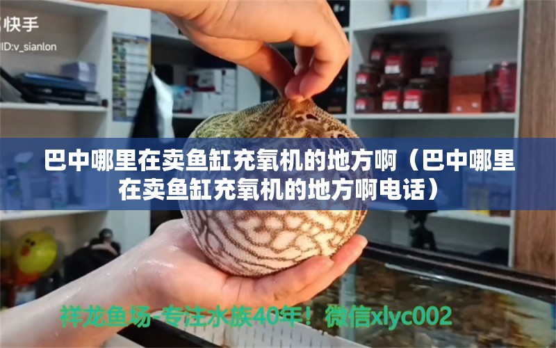 巴中哪里在賣魚缸充氧機的地方?。ò椭心睦镌谫u魚缸充氧機的地方啊電話）