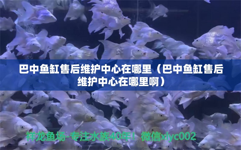 巴中魚缸售后維護中心在哪里（巴中魚缸售后維護中心在哪里?。?其他品牌魚缸