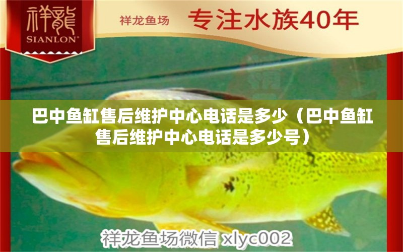 巴中魚缸售后維護(hù)中心電話是多少（巴中魚缸售后維護(hù)中心電話是多少號）