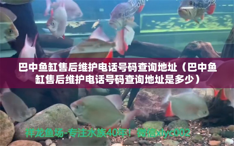 巴中魚缸售后維護(hù)電話號碼查詢地址（巴中魚缸售后維護(hù)電話號碼查詢地址是多少）