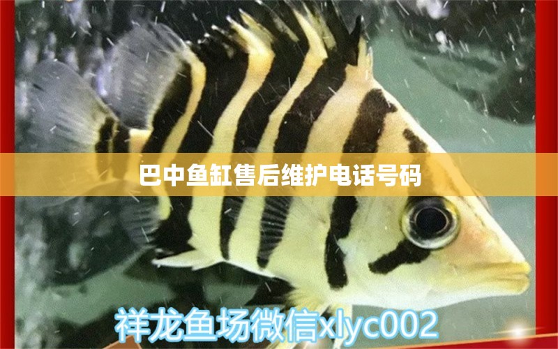 巴中魚缸售后維護(hù)電話號碼