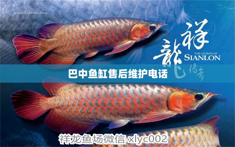 巴中魚缸售后維護電話 其他品牌魚缸